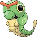 Caterpie