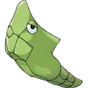 Metapod