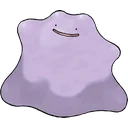 Ditto