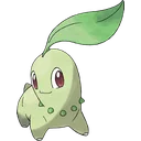 Chikorita