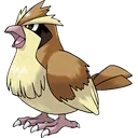 Pidgey