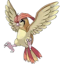 Pidgeotto