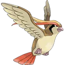 Pidgeot