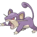 Rattata