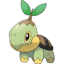 Turtwig