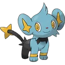 Shinx