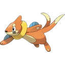 Buizel