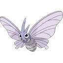 Venomoth