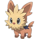 Lillipup