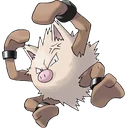 Primeape