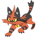 Torracat