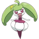 Steenee