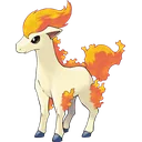 Ponyta