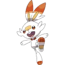 Scorbunny