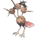Dodrio