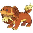 Dachsbun